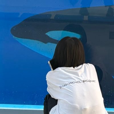 wings_fumi's profile picture.