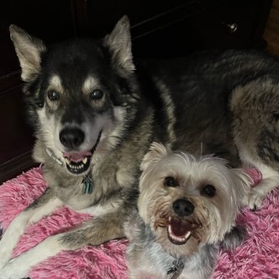 PatrickSeanF82's profile picture. 