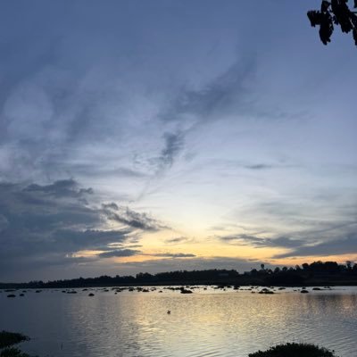 papicolo_28's profile picture. 