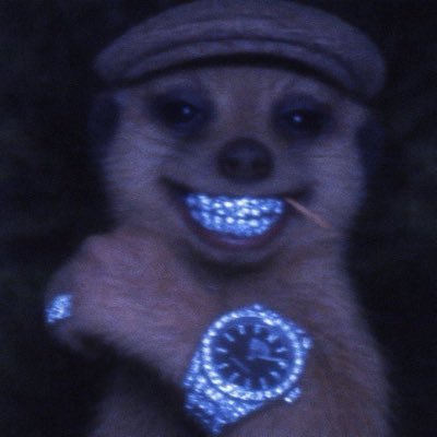 Java10ja's profile picture. 