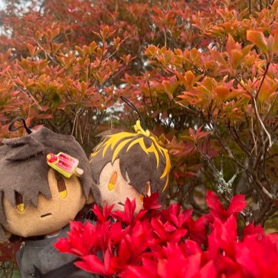 samoyed918's profile picture. 成人済。地方在住。大倶利伽羅最推しの政宗刀推し。推し続けて10年経ちました🥳伊達組でグッズ揃えます。企業勤めなので平日(割と休日も出勤するので土曜日も)日中はTLはほぼ見れません。返信も出来ません。観劇は.5問わず昔から大好きなので色々観ますし感想もたまに呟きます。お取引後やり取りない方はフォロー解除します