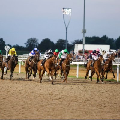 AWRacingKing's profile picture. Quality not quantity, simplicity is key 🐎