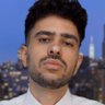 damonimani's profile picture. Trying to bring sanity and reason.