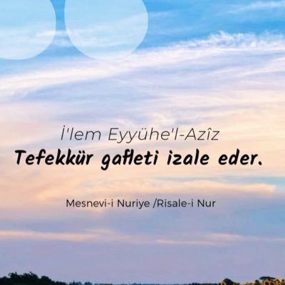 bradu38's profile picture. Humanitarian