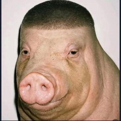Mazzaleany's profile picture. I don't have a bio