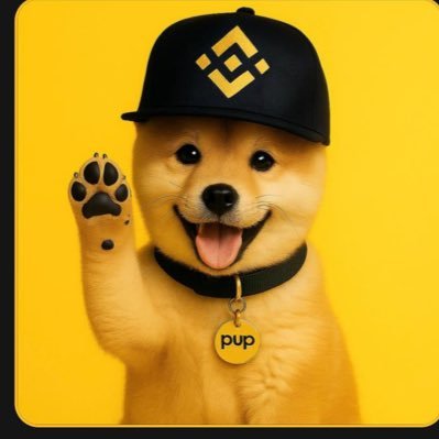 fifa2519921990's profile picture. Make BSC meme great again