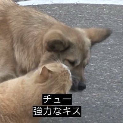 ANSVpGsZDcwo5V6's profile picture. 