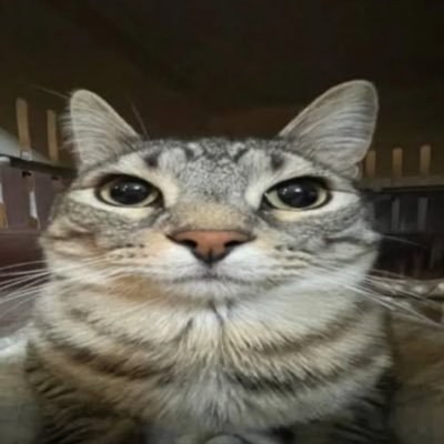 Esmeral40032522's profile picture. 