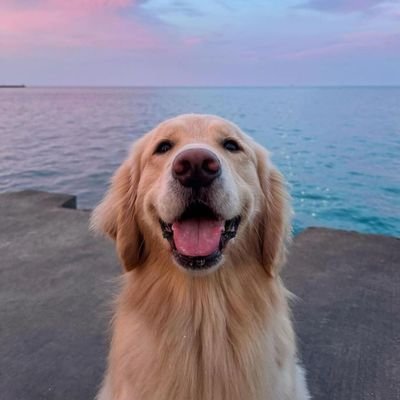 luktitham71474's profile picture. 