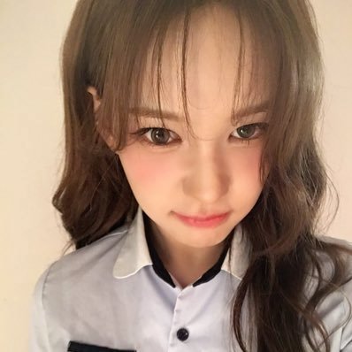 yangdongbaby's profile picture.