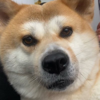 kam3nft's profile picture. Crypto / Airdrop Enthusiast