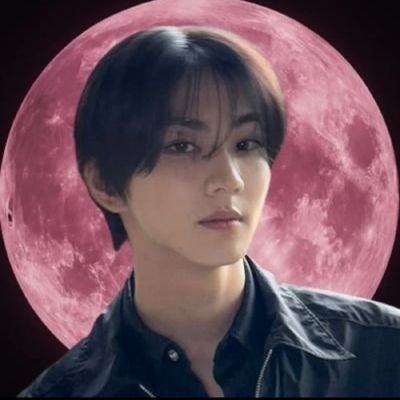 Misok01449729's profile picture. @enhypen: fan account