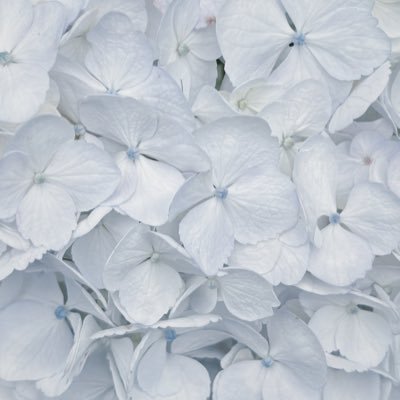 7374_333's profile picture. たまにログイン