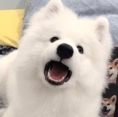 _pxnkchx's profile picture. ☀️🌻🦕🌹🍌🍑🐰