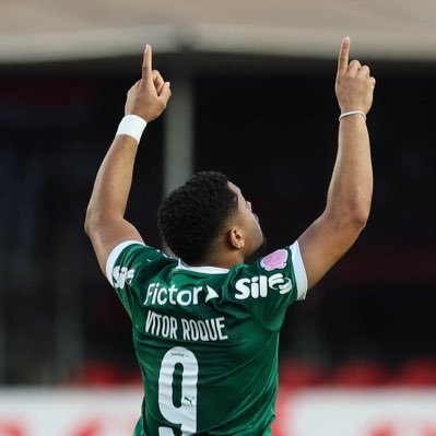 ViniciusCurti1's profile picture. 