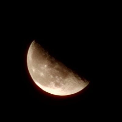 mon_j00's profile picture. 