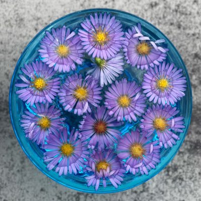 macarockhappy's profile picture. 