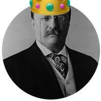 TedBrooosevelt's profile picture. Monoculture Maximalist