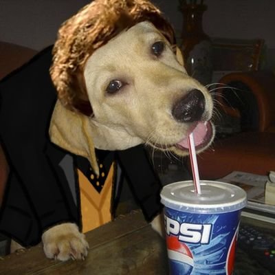 @pepsidogonline