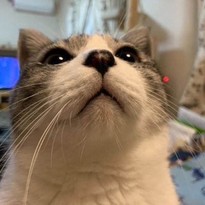 takumin0423x's profile picture. Software Developer
TypeScript/Rust/DDD