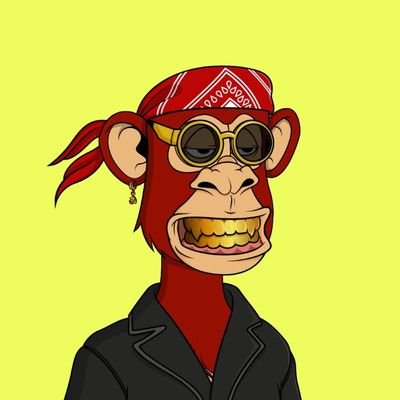 MoonBirdde's profile picture. NFTs/Meme Coins | Community Builder |
Technologist | Open 4 Business