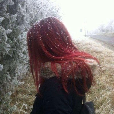 cutexeets's profile picture. Turn on post notifications for daily cute xeets
