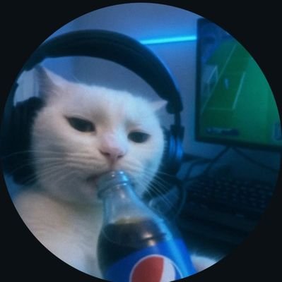 AnkitJaisw44489's profile picture. SNU'29
CSE