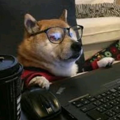 TheDogeLegend's profile picture. Unemployed 16yrs old from 🇪🇬 and also ☦️┃ShitPosts and posts Memes, mostly jokin btw┃Entertainment┃#RTC Member┃Sometimes Political┃I'm also a football⚽ fan ✌