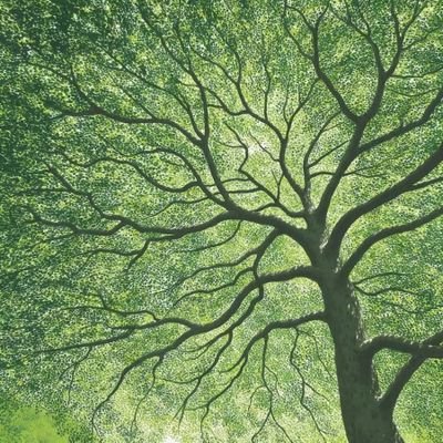 sukisyo118's profile picture. 