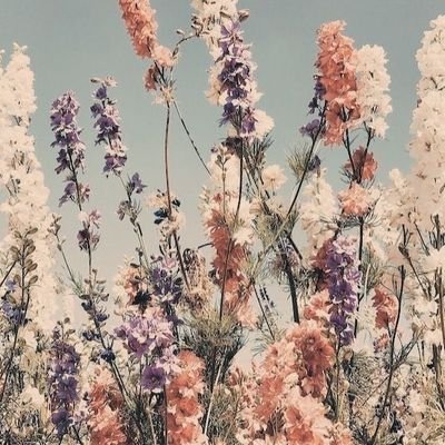 Ava_JustYouWait's profile picture. 