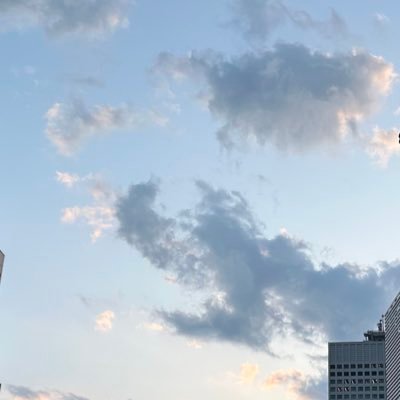 yamataikoku999's profile picture. @sinjapaの政治思想垢 2010中学生