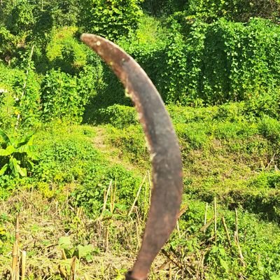 AvishekBas21356's profile picture. Bichardhara