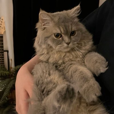 6ll8ll_'s profile picture. قال تعالى : (فَاذْكُرُونِي أَذْكُرْكُمْ).