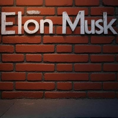 PinningR48153's profile picture. Entrepreneur 🚀 I Spacex • CEO & CTO 🚔| Tesla • CEO and Product architect 🚅l Hyperloop • Founder 🧩 | OpenAl • Co- founder👇🏻 | Build A 7-fig