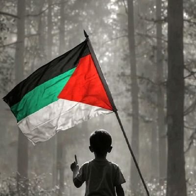 emadtalhat's profile picture. 