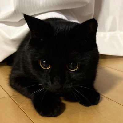 iivyyada's profile picture. มิเชลไม่เคยผิด