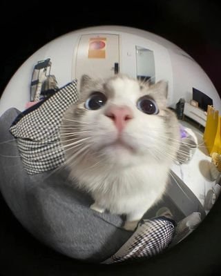 onlyyapperr's profile picture. I think out loud...

MV33
