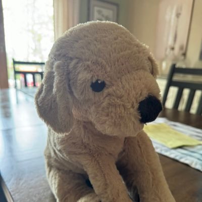 guguoi34's profile picture. 