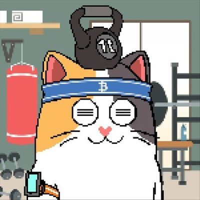 EtherscanS39356's profile picture. 