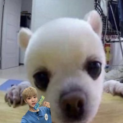 huu00314's profile picture. 형이 다 생각이 있기에 니네를 존내 패는거다