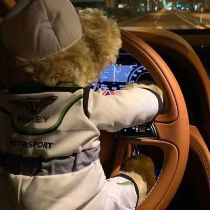 hfifn118318's profile picture. FACAI