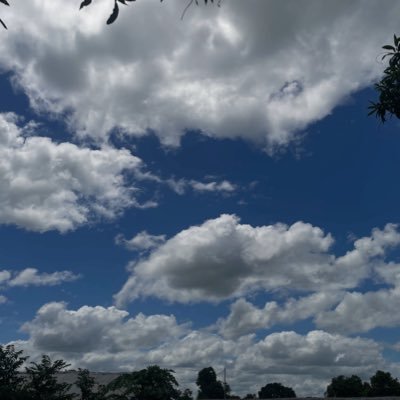 johnuny17803's profile picture. 