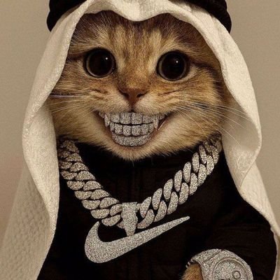SOLANA_PROF0's profile picture. Solana specialist | precision trade calls & market insights | Alphal , risk management & execution focused | Join the movement: https://t.co/CEBkNuvhTQ