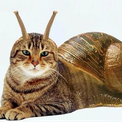 @darwinhf1