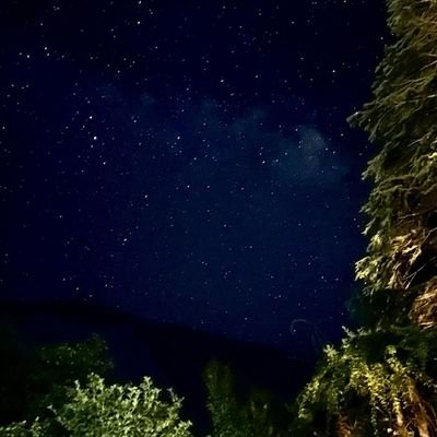 Zoonvaer's profile picture. 