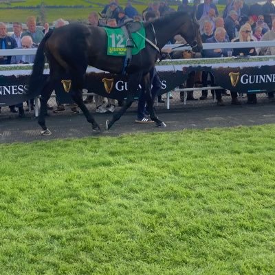 DermotCullen's profile picture. 