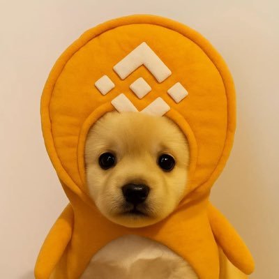 stoploss0's profile picture. if you chase two rabbits at the same time you can’t catch one.