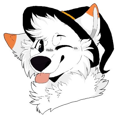 Rogue The Arctic Folf 🐾さんのプロフィール画像