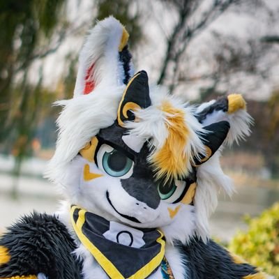 l3shn_mixer's profile picture. 是飞鸢，正版的。半个里推懒得锁，都上推了不要跟我讲什么内容合适与否。这里会发点nfsw。以及不用营业脸的，真一点的我。