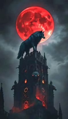 Sardosh219964's profile picture. solo wolf is back.